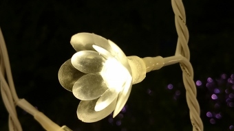 c0328559_14350376.jpg