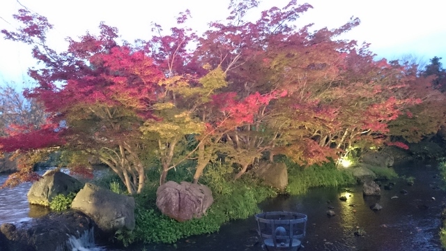 c0328559_14361487.jpg