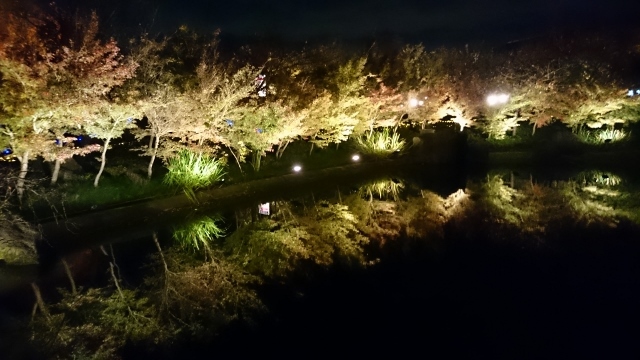 c0328559_14382701.jpg