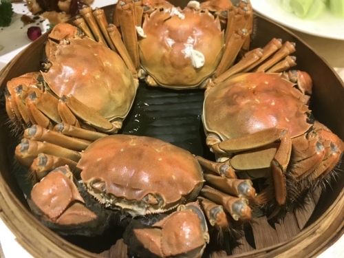 中国人インバウンドの連載_e0249060_10005458.jpg