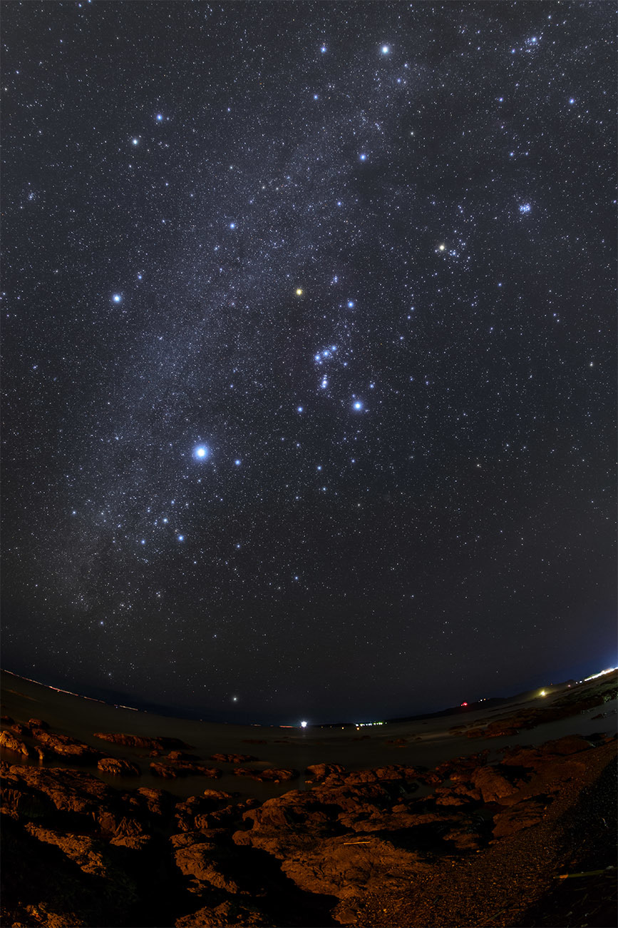 田原海岸と星空_d0362961_13554830.jpg