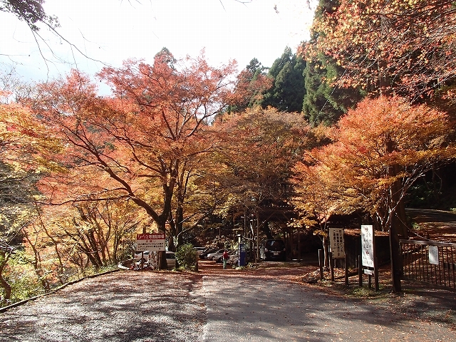 b0044663_14270344.jpg