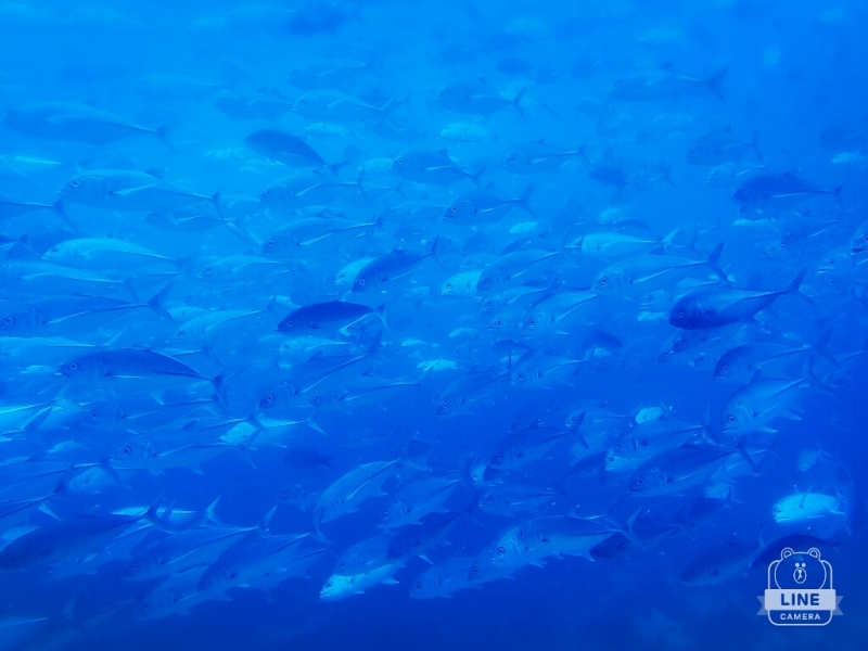 d0363174_00015454.jpg