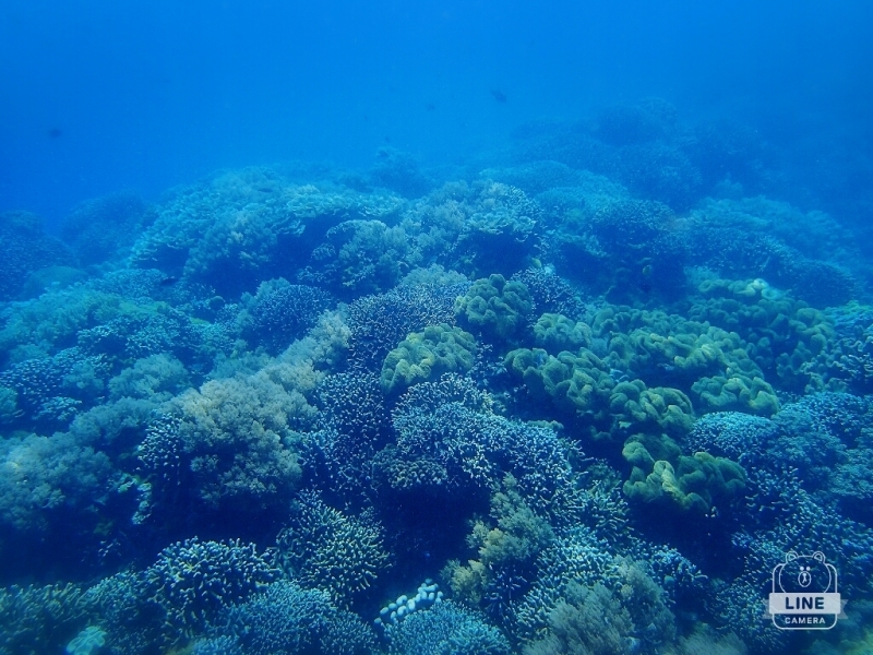 d0363174_00021110.jpg