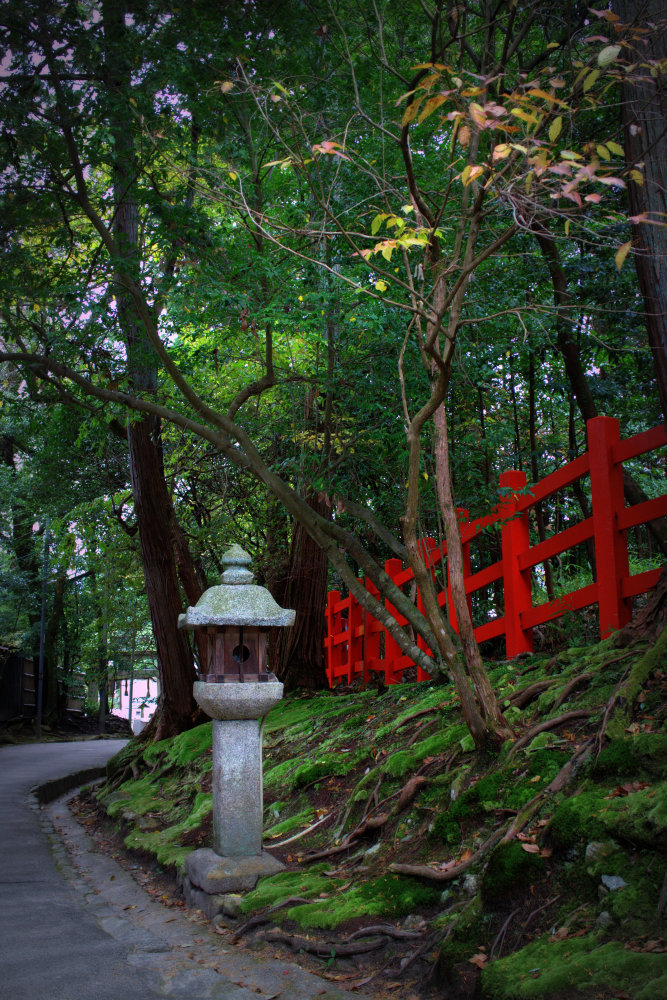 八大神社　静かに染まる_b0122979_08130630.jpg