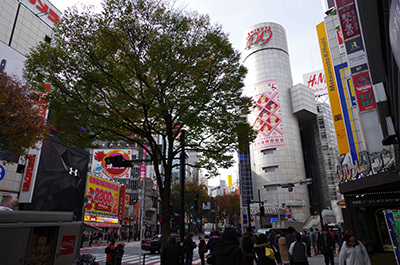 b0056983_16112495.jpg