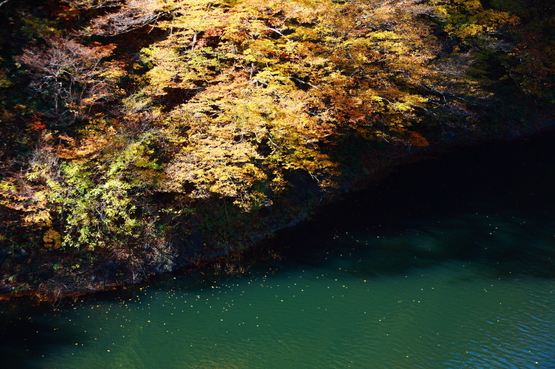 e0165983_11420187.jpg