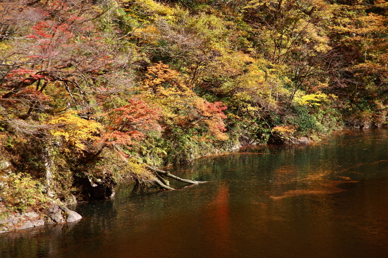 e0165983_11434407.jpg