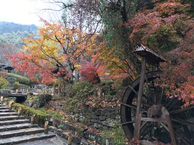 庭園巡り：「藤江氏魚楽園」_f0202785_16253278.jpg