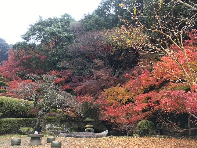 庭園巡り：「藤江氏魚楽園」_f0202785_16273743.jpg