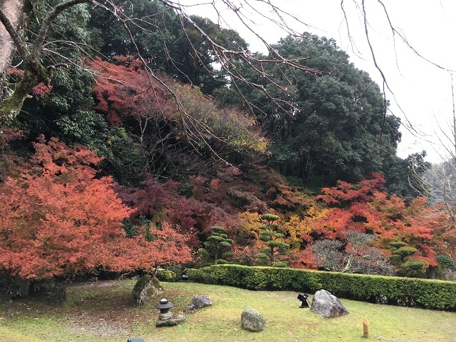 庭園巡り：「藤江氏魚楽園」_f0202785_16330722.jpg