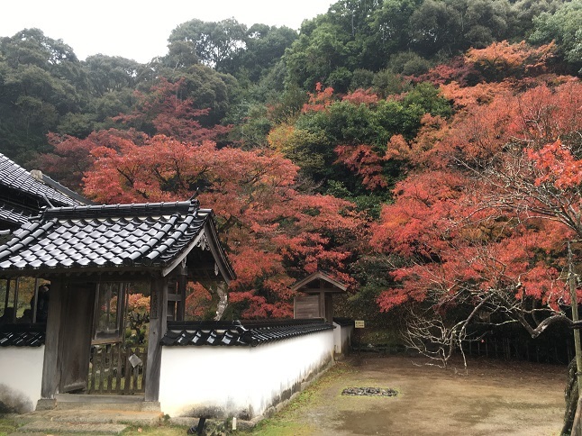 庭園巡り：「藤江氏魚楽園」_f0202785_16350295.jpg