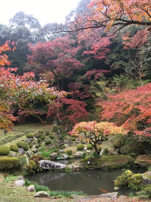 庭園巡り：「藤江氏魚楽園」_f0202785_16374063.jpg