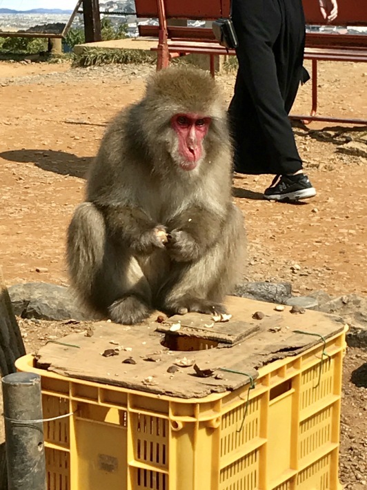 e0170687_11115683.jpeg