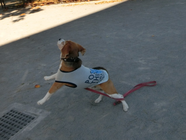 a0319693_6473256.jpg