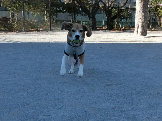 a0319693_64822.jpg
