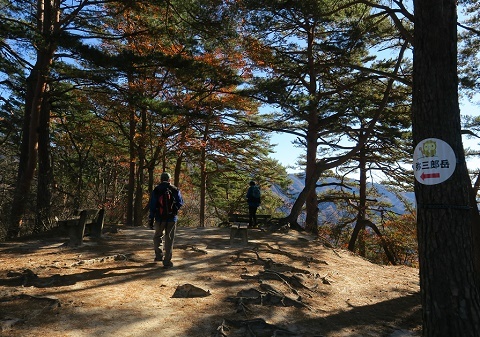 紅葉の昇仙峡・羅漢寺山～弥三郎岳_a0158702_16344960.jpg