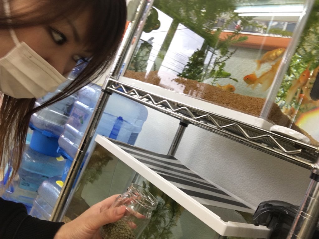 11月23日(木)☆TOMMYアウトレット☆あゆブログ(*^^)v本日ご成約3台!!パレットS様♪フリードK様♪スイフトT様♪_b0127002_17252594.jpg