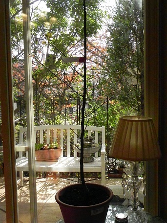 c0152002_19113549.jpg