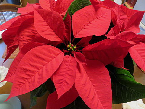 d0046702_16481543.jpg