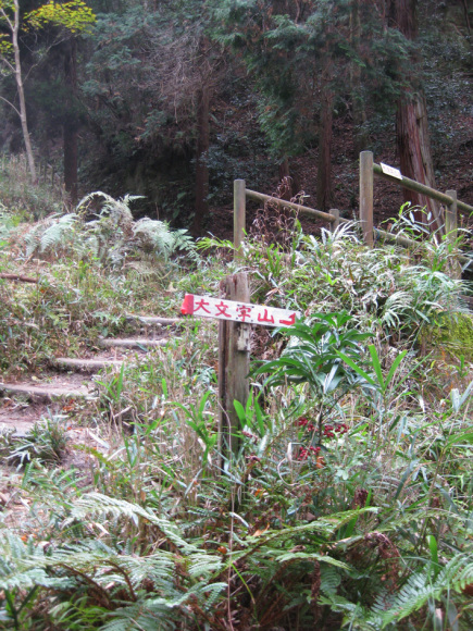 f0195002_18501662.jpg