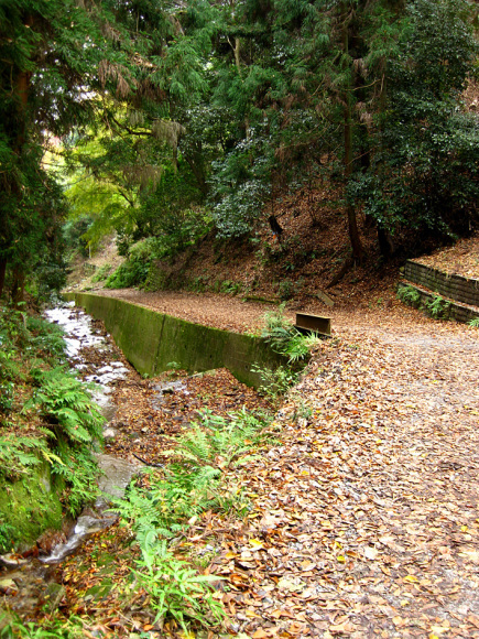 f0195002_18521831.jpg