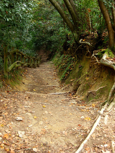 f0195002_18524840.jpg