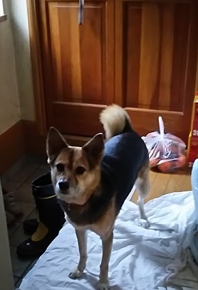 朝の散歩が楽しみになって来た!_f0242002_19145962.jpg