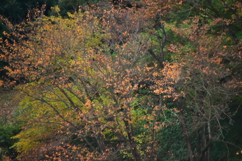a0263109_19430455.jpg