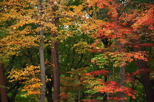a0263109_19521666.jpg