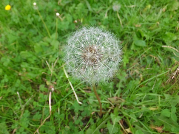 e0360409_09390201.jpg