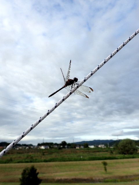 f0043911_18414281.jpg