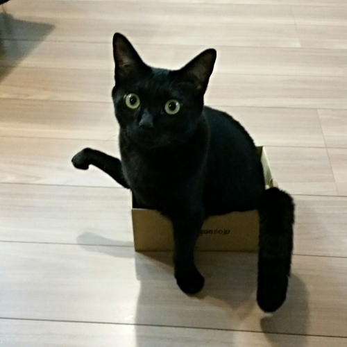 e0144012_00124312.jpeg
