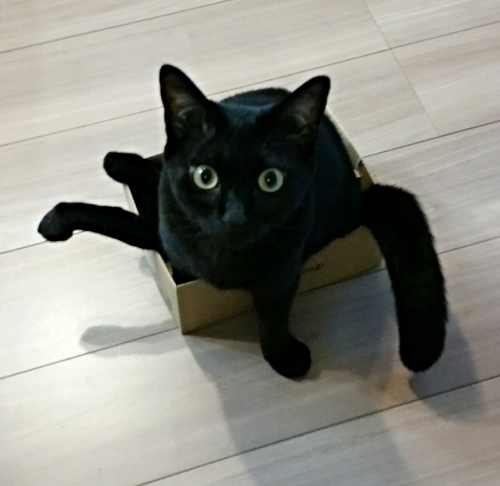 e0144012_00141659.jpeg