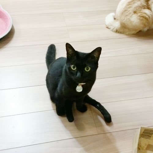 e0144012_00194932.jpeg
