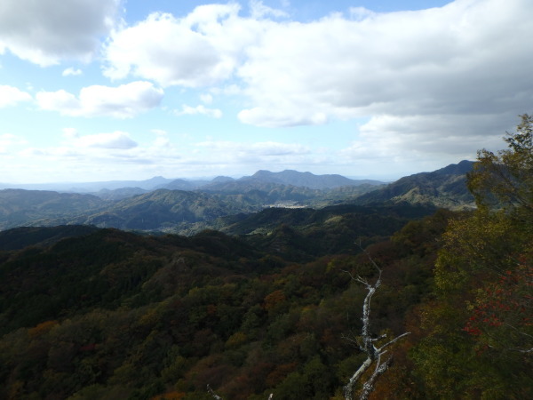 d0198313_11574324.jpg