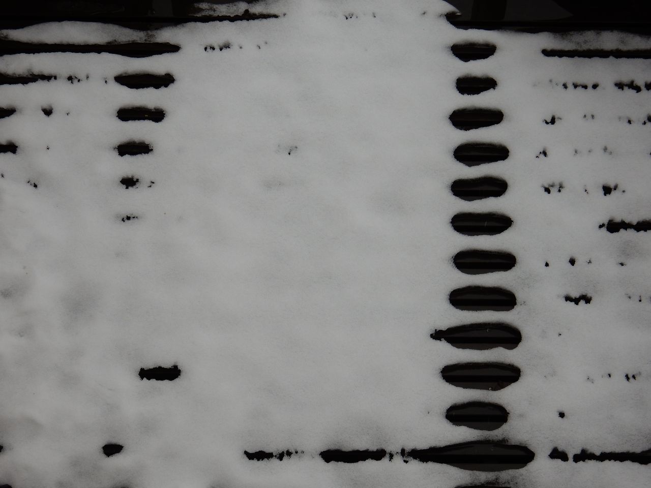 ほぼ雪が消えました_c0025115_20495294.jpg