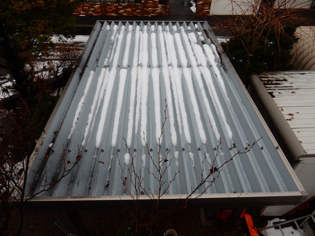 ほぼ雪が消えました_c0025115_20495574.jpg