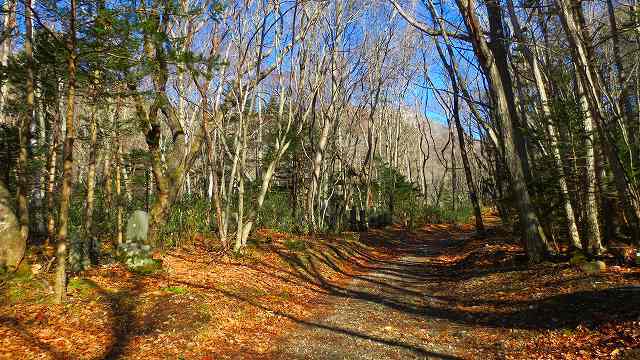 a0243317_12013666.jpg