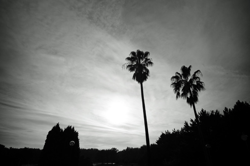 d0339617_18142904.jpg