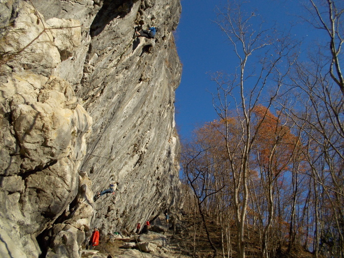 b0037220_22042216.jpg