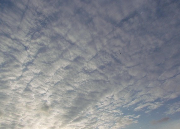 d0360922_00363556.jpg