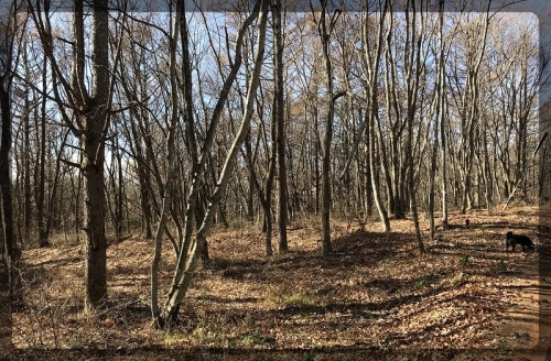 e0136424_20175622.jpg