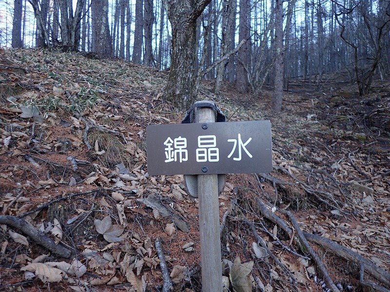 e0284726_160234.jpg