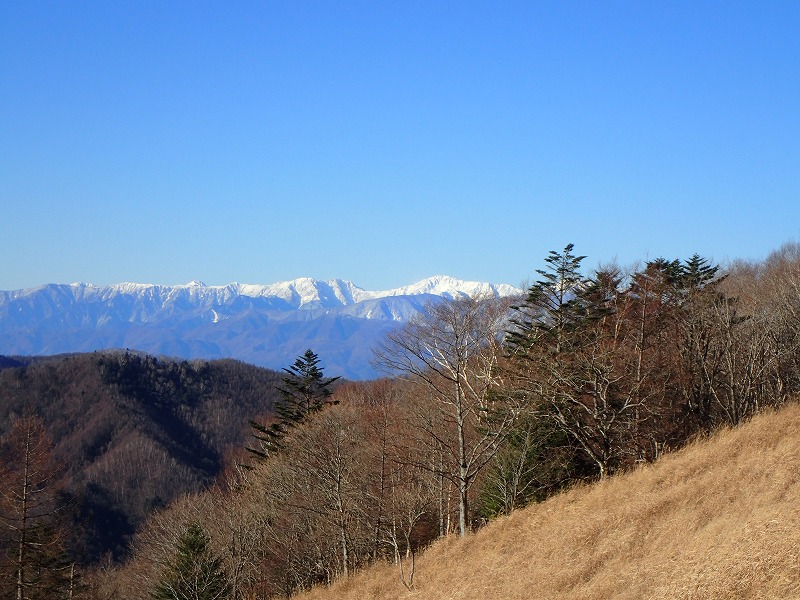 e0284726_1605559.jpg