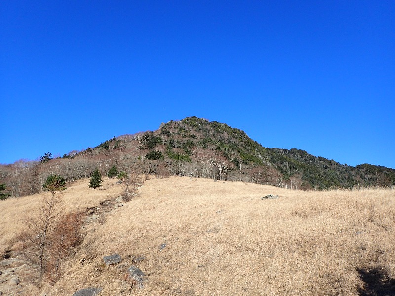 e0284726_1727560.jpg