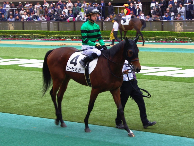 フォーチュンリングとナスノカツラのデビュー戦_c0031227_23254417.jpg