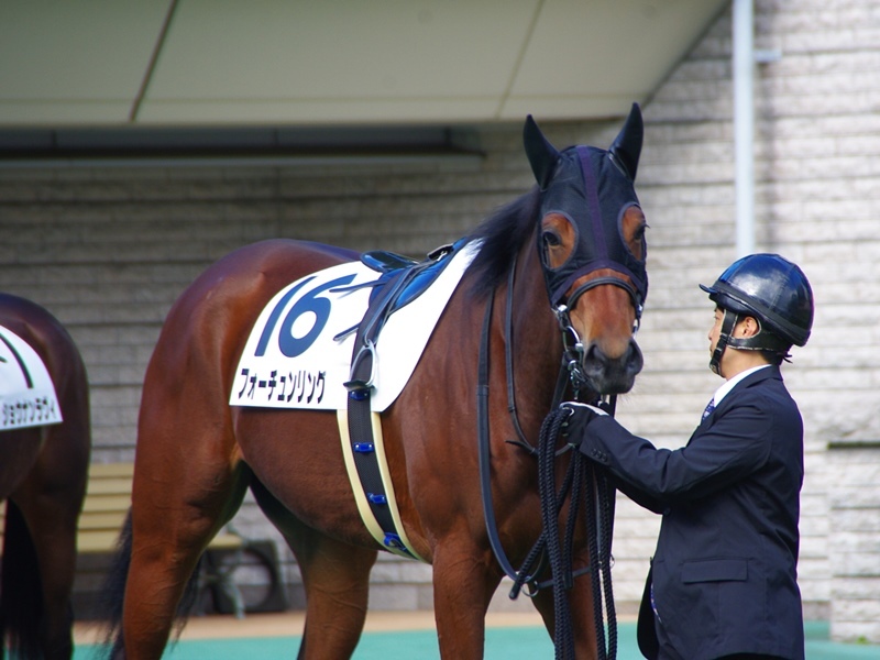 フォーチュンリングとナスノカツラの二戦目_c0031227_23443054.jpg
