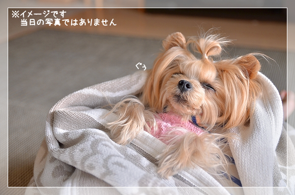 d0179828_02250616.png