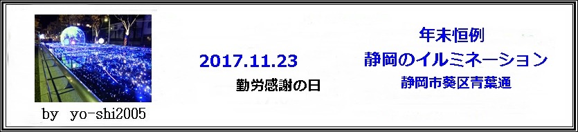 静岡中心市街地の電飾（イルミネーション）_e0033229_1914398.jpg